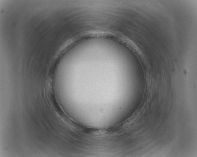 X0000080720071200612150849