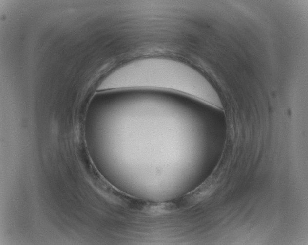 X0000080720072200612150849