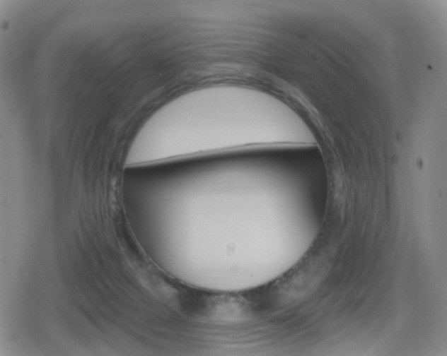 X0000080720073200612150849