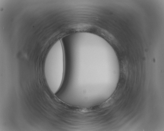 X0000080720074200612150849