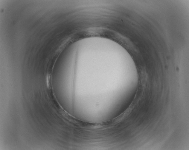 X0000080720075200612150849