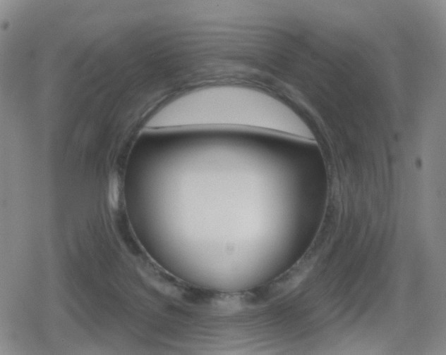 X0000080720076200612150849