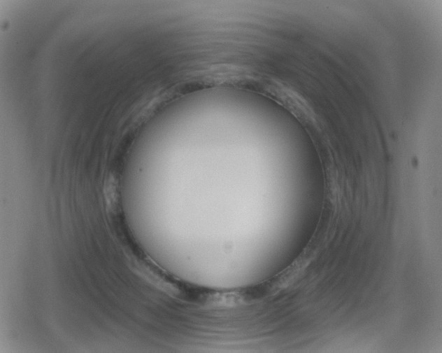 X0000080720077200612150849