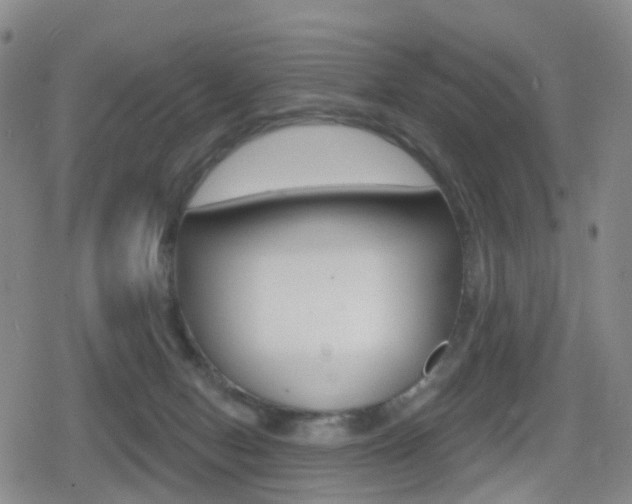 X0000080720078200612150849