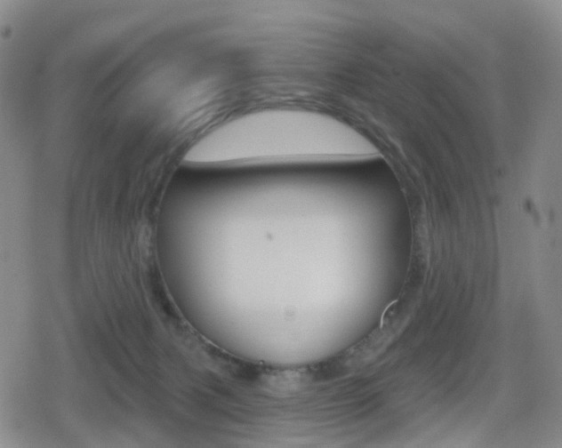 X0000080720079200612150849