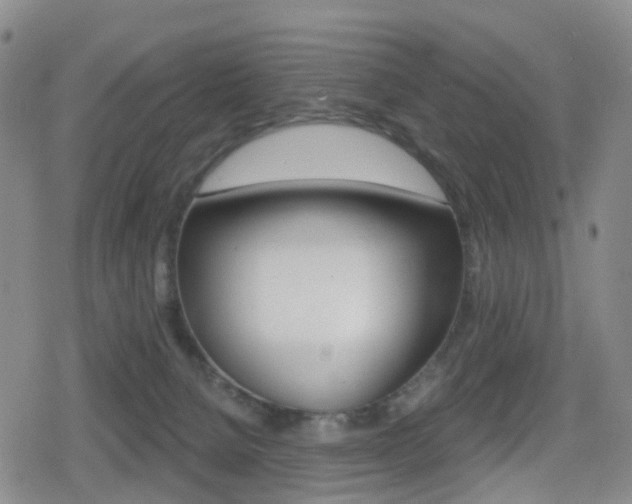 X0000080720080200612150849