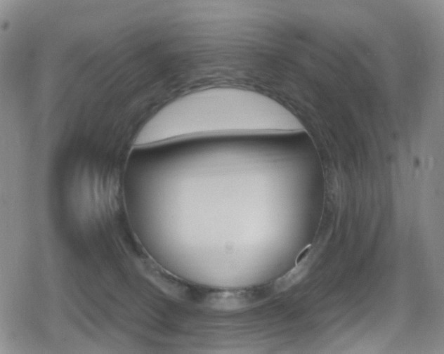 X0000080720082200612150849