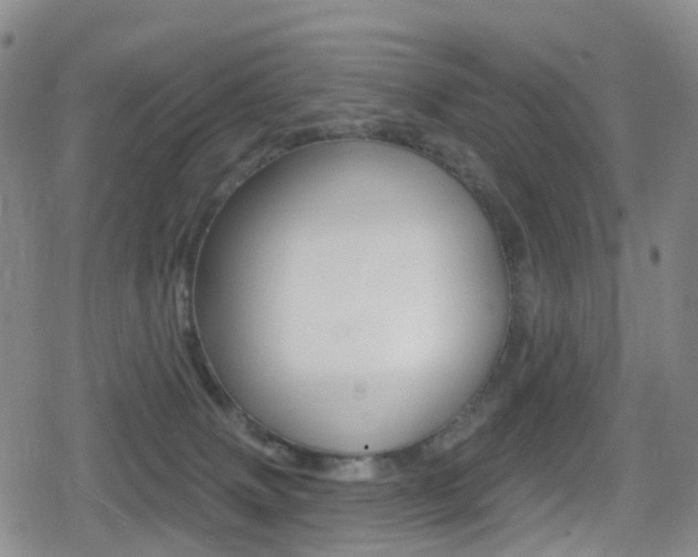 X0000080720083200612150849