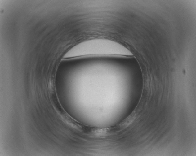 X0000080720084200612150849