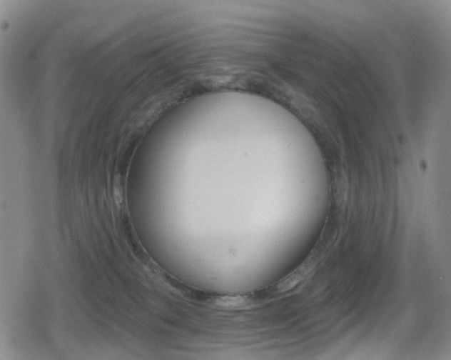 X0000080720085200612150849