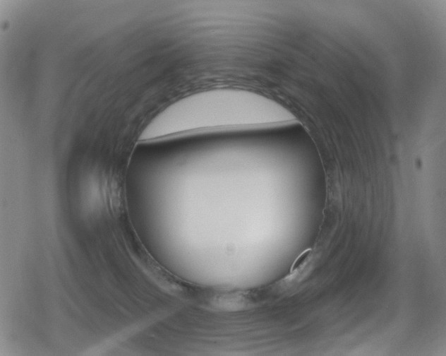 X0000080720086200612150849