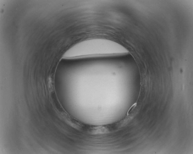 X0000080720087200612150849