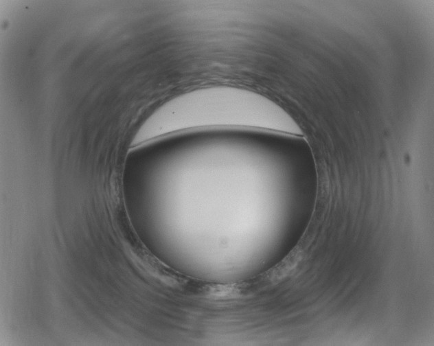 X0000080720088200612150849