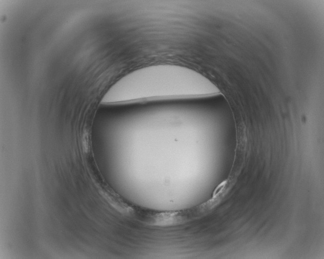 X0000080720090200612150849