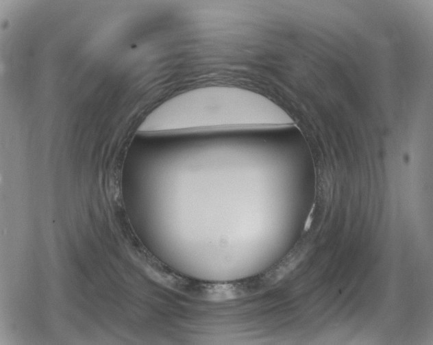 X0000080720091200612150849