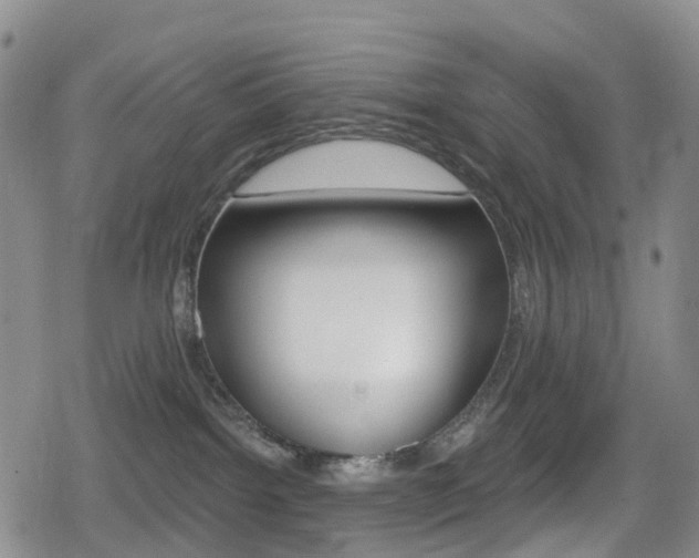 X0000080720092200612150849