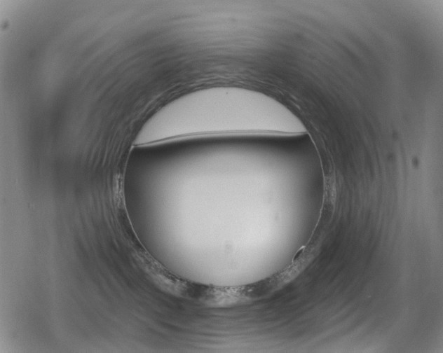 X0000080720093200612150849