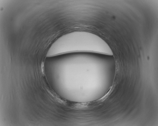 X0000080720094200612150849