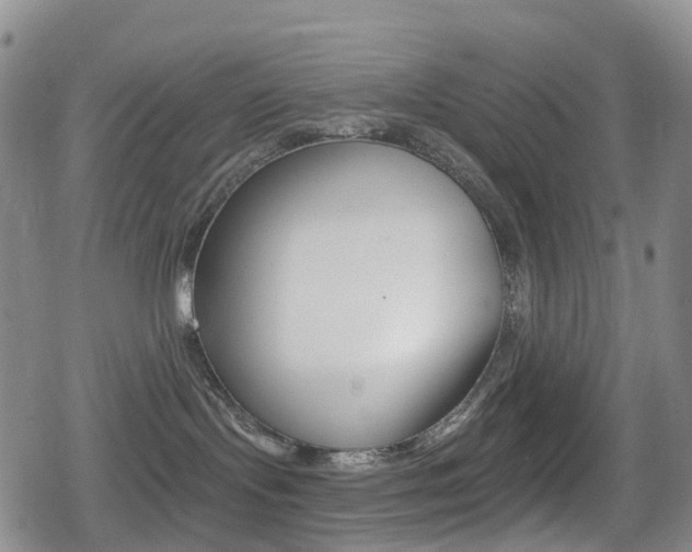 X0000080720095200612150849