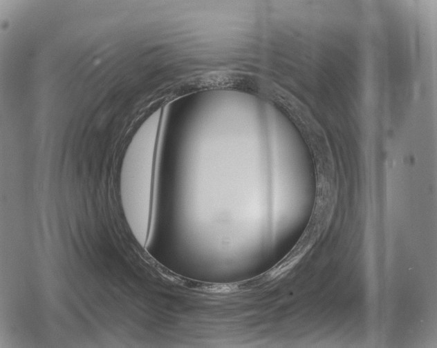 X0000080720096200612150849