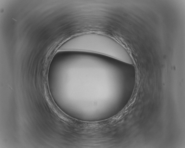 X0000080720097200612150848