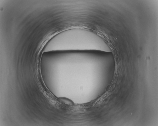 X0000080720098200612150848