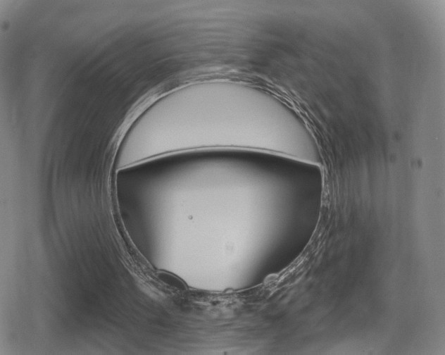 X0000080720099200612150848