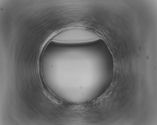 X0000080720100200612150848