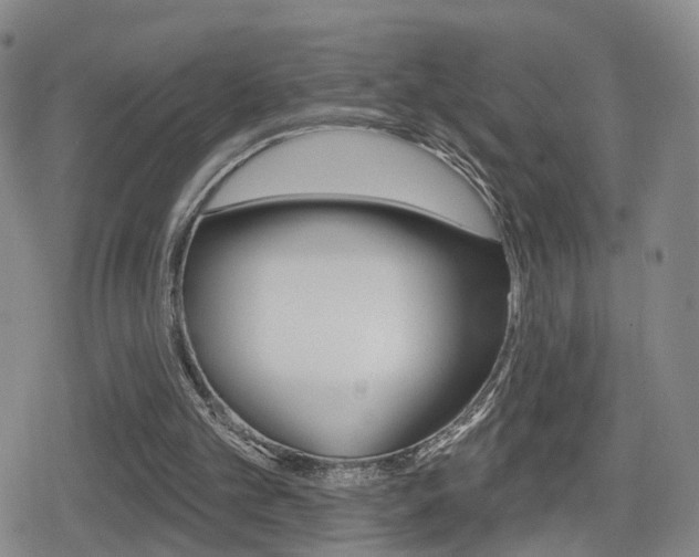 X0000080720101200612150848