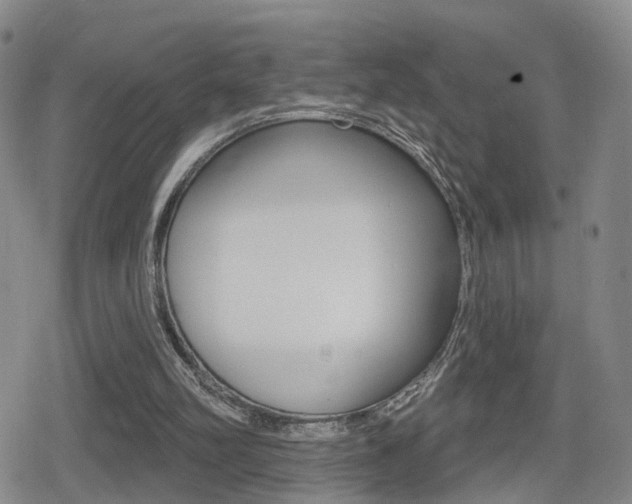 X0000080720102200612150848