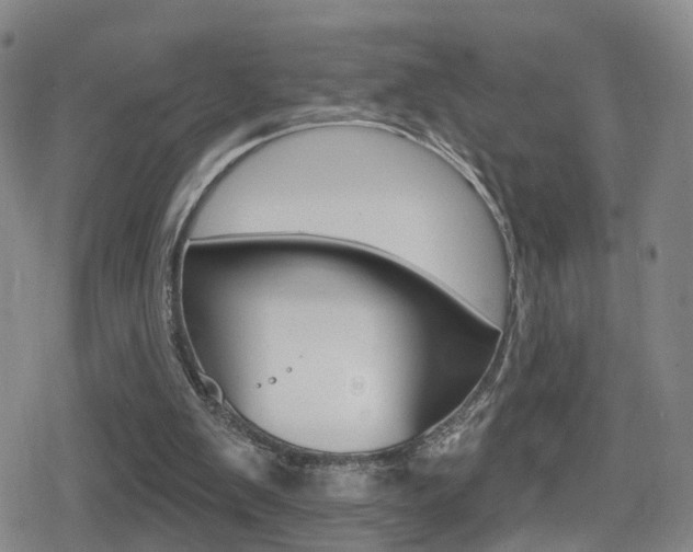 X0000080720103200612150848