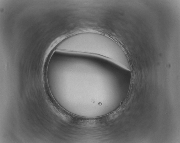 X0000080720104200612150848