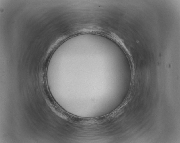 X0000080720106200612150848