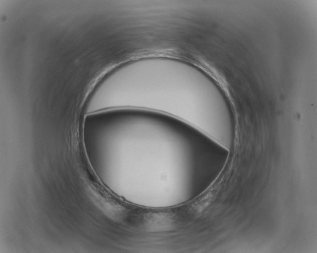 X0000080720107200612150848