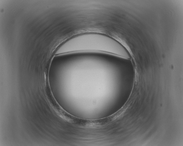 X0000080720109200612150848