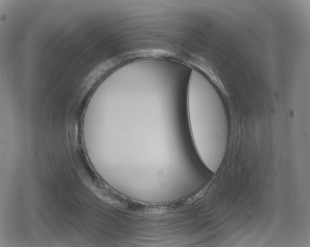 X0000080720110200612150848