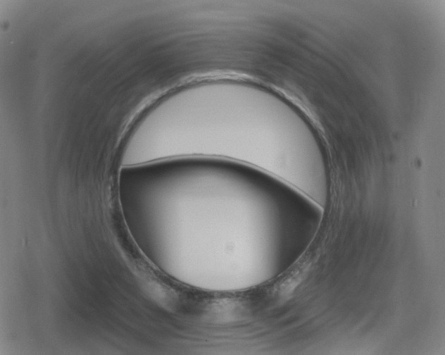 X0000080720111200612150848