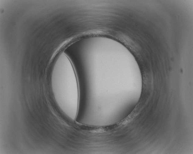 X0000080720112200612150848