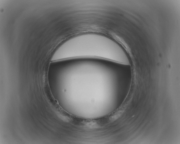 X0000080720113200612150848