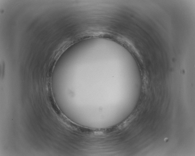 X0000080720114200612150848