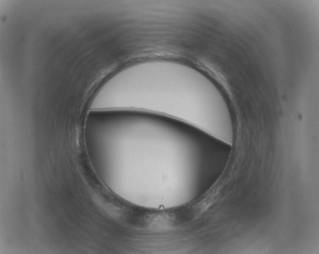 X0000080720115200612150848