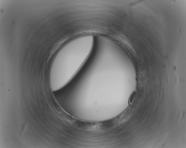 X0000080720116200612150848