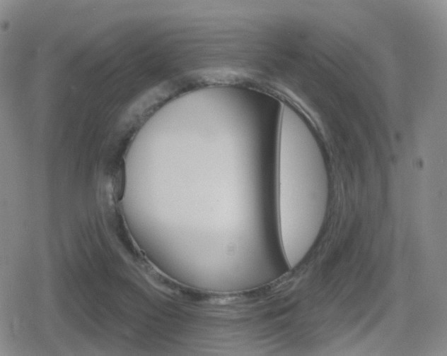 X0000080720117200612150848