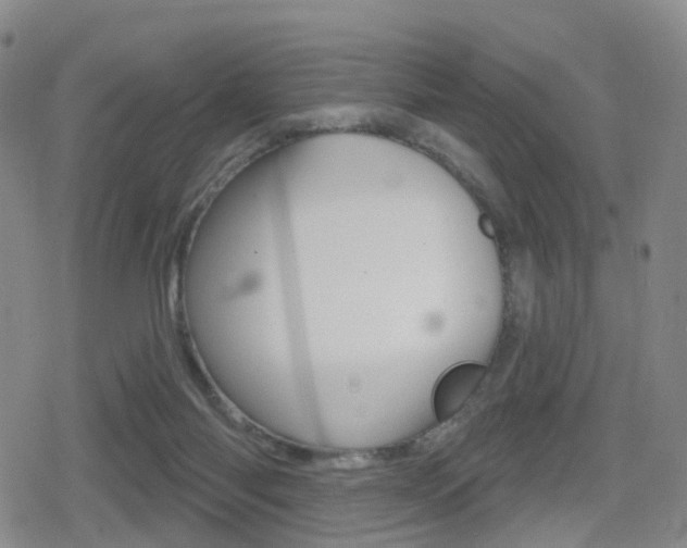 X0000080720118200612150848