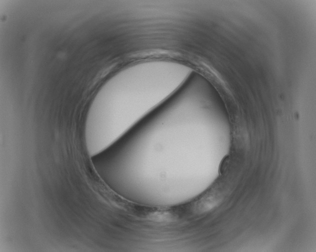 X0000080720119200612150848