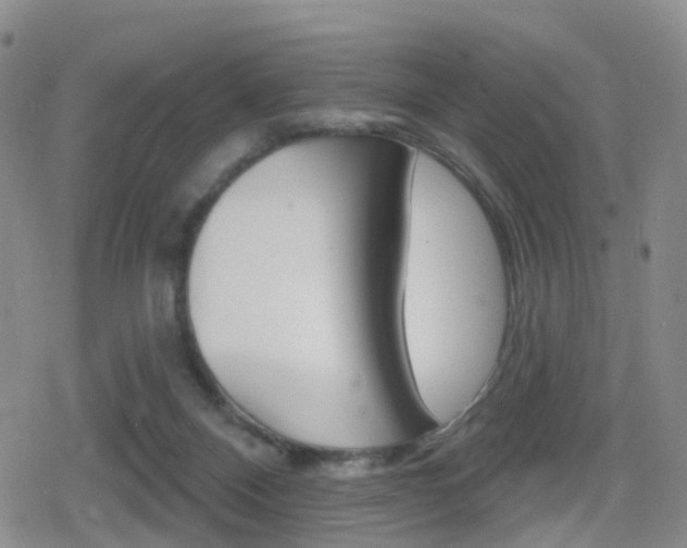 X0000080720120200612150848