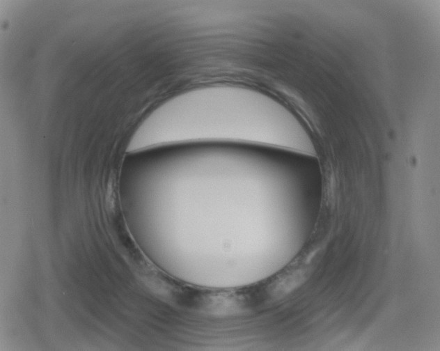 X0000080720121200612150848