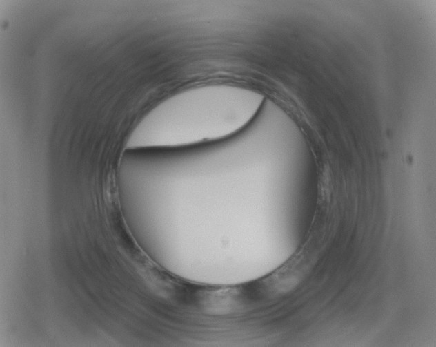 X0000080720122200612150848