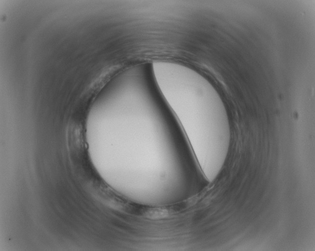 X0000080720123200612150848