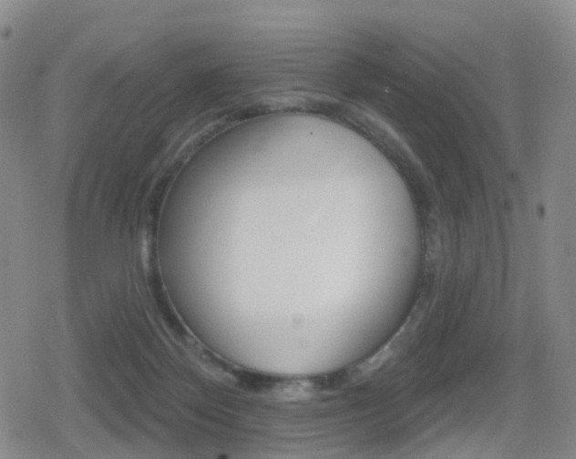 X0000080720124200612150848